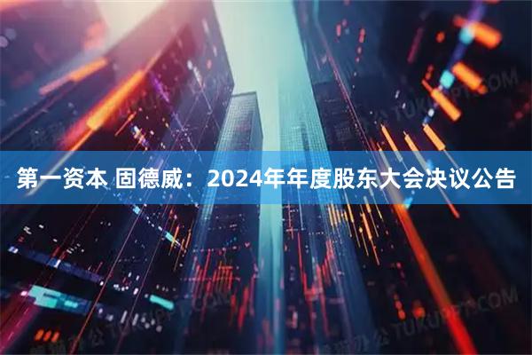 第一资本 固德威：2024年年度股东大会决议公告