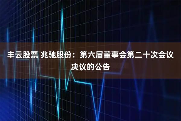 丰云股票 兆驰股份：第六届董事会第二十次会议决议的公告