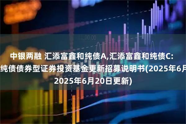 中银两融 汇添富鑫和纯债A,汇添富鑫和纯债C: 汇添富鑫和纯债债券型证券投资基金更新招募说明书(2025年6月20日更新)
