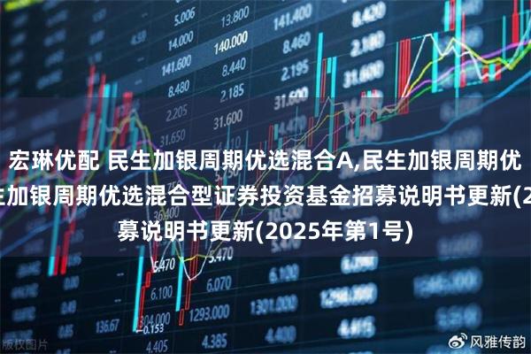 宏琳优配 民生加银周期优选混合A,民生加银周期优选混合C: 民生加银周期优选混合型证券投资基金招募说明书更新(2025年第1号)