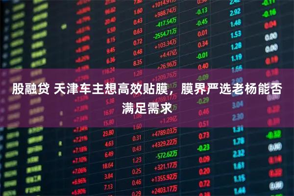 股融贷 天津车主想高效贴膜，膜界严选老杨能否满足需求