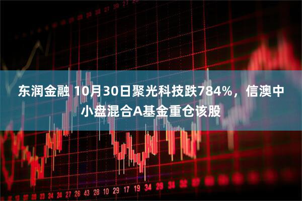 东润金融 10月30日聚光科技跌784%，信澳中小盘混合A基金重仓该股