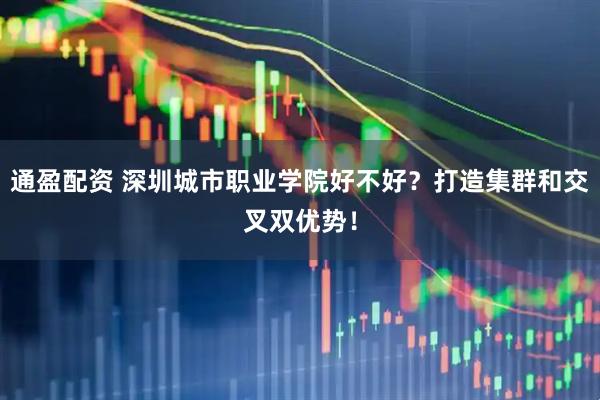 通盈配资 深圳城市职业学院好不好？打造集群和交叉双优势！